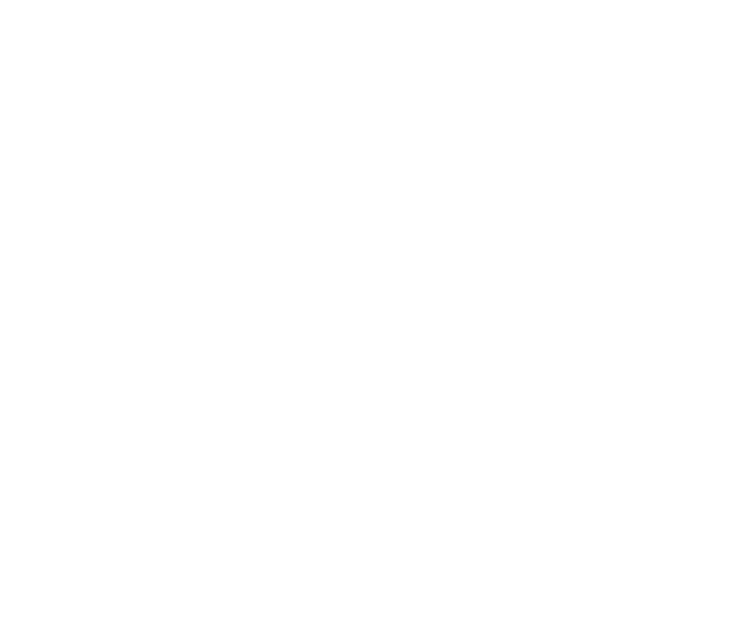 Servisor