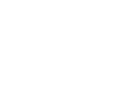 Servisor